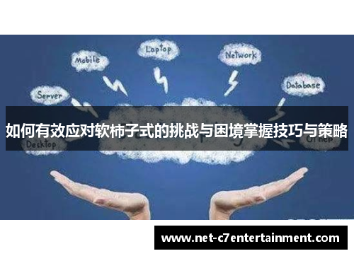 如何有效应对软柿子式的挑战与困境掌握技巧与策略 如何有效应对软柿子式的挑战与困境掌握技巧与策略