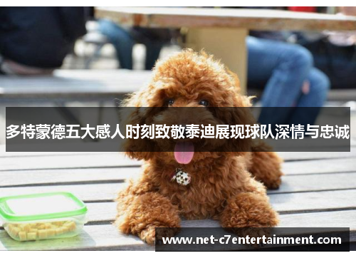 多特蒙德五大感人时刻致敬泰迪展现球队深情与忠诚 多特蒙德五大感人时刻致敬泰迪展现球队深情与忠诚