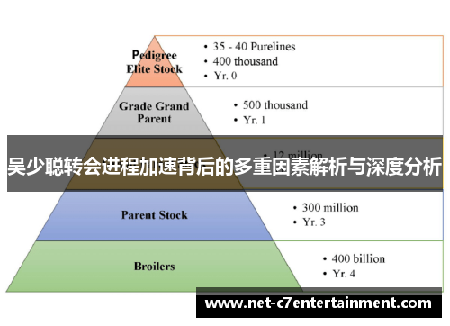 吴少聪转会进程加速背后的多重因素解析与深度分析 吴少聪转会进程加速背后的多重因素解析与深度分析