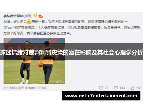 球迷情绪对裁判判罚决策的潜在影响及其社会心理学分析 球迷情绪对裁判判罚决策的潜在影响及其社会心理学分析