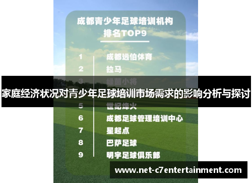 家庭经济状况对青少年足球培训市场需求的影响分析与探讨 家庭经济状况对青少年足球培训市场需求的影响分析与探讨