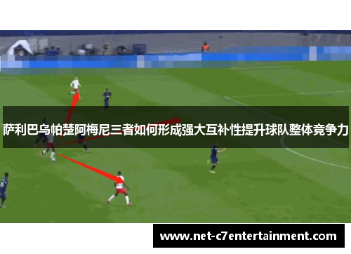 萨利巴乌帕楚阿梅尼三者如何形成强大互补性提升球队整体竞争力 萨利巴乌帕楚阿梅尼三者如何形成强大互补性提升球队整体竞争力