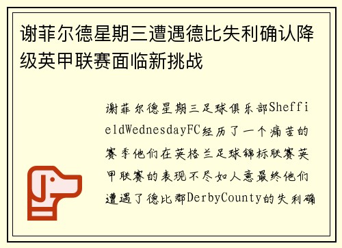 谢菲尔德星期三遭遇德比失利确认降级英甲联赛面临新挑战