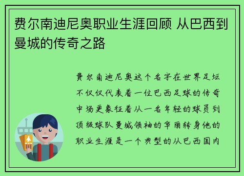 费尔南迪尼奥职业生涯回顾 从巴西到曼城的传奇之路 费尔南迪尼奥职业生涯回顾 从巴西到曼城的传奇之路