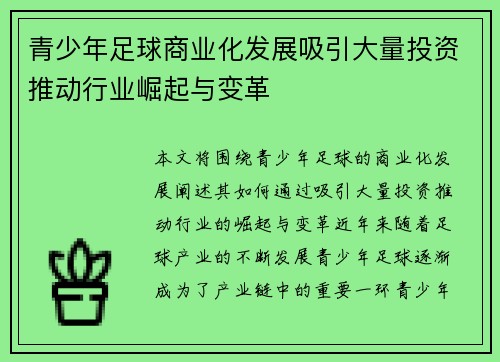 青少年足球商业化发展吸引大量投资推动行业崛起与变革